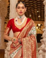 Women Woven Saree with Contrast Border - Image 4